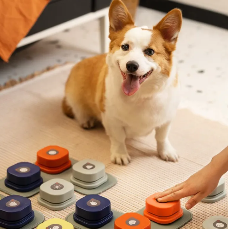 TalkPaws™ — Pet Communication Button Set